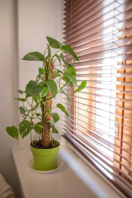 A Lovely Apartment Near Railway Station And Arena. Tampere Dış mekan fotoğraf