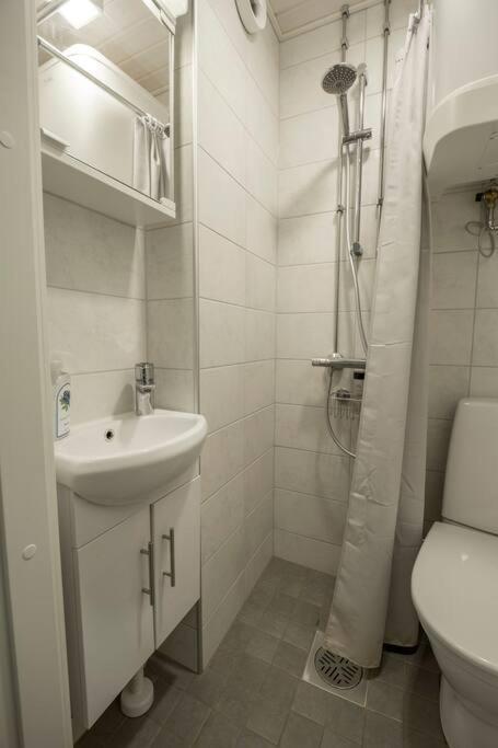 A Lovely Apartment Near Railway Station And Arena. Tampere Dış mekan fotoğraf